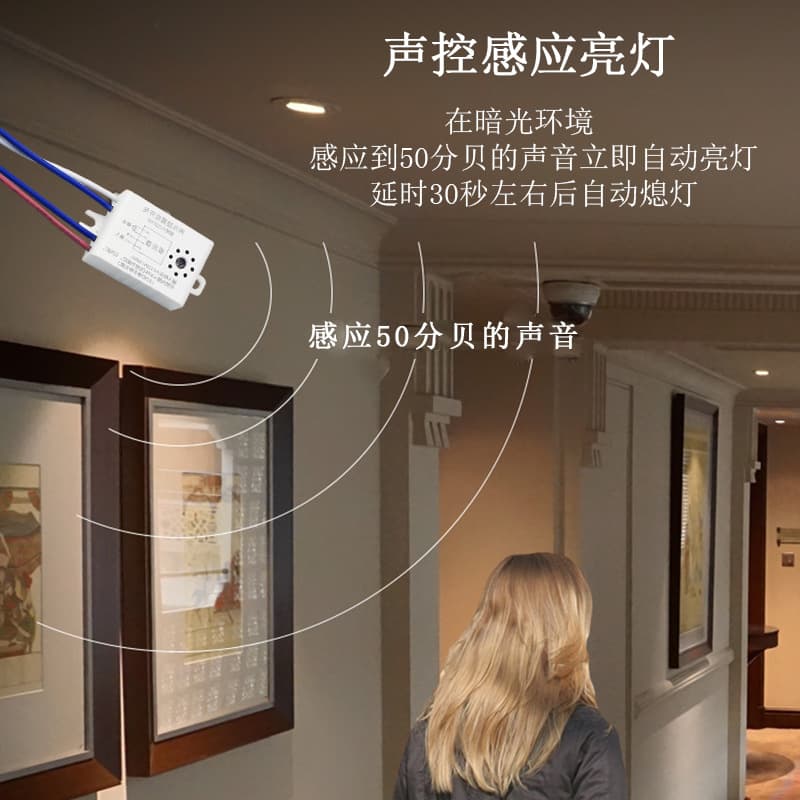 Acoustic-Optical Control Module LED Ceiling Light Built-in Sound-Activated Delay Switch, Light Sensor for Corridor Sound and Light Control Switch