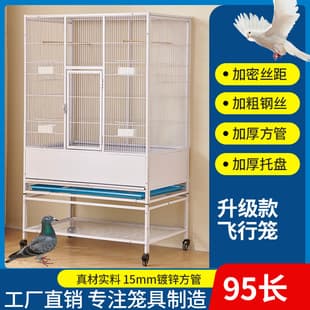 Parrot Flight Cage, Large Bird Cage for Mynah, Reinforced Flight Cage, Luxury Lovebird and Parakeet Cage, Free Space Bird Cage