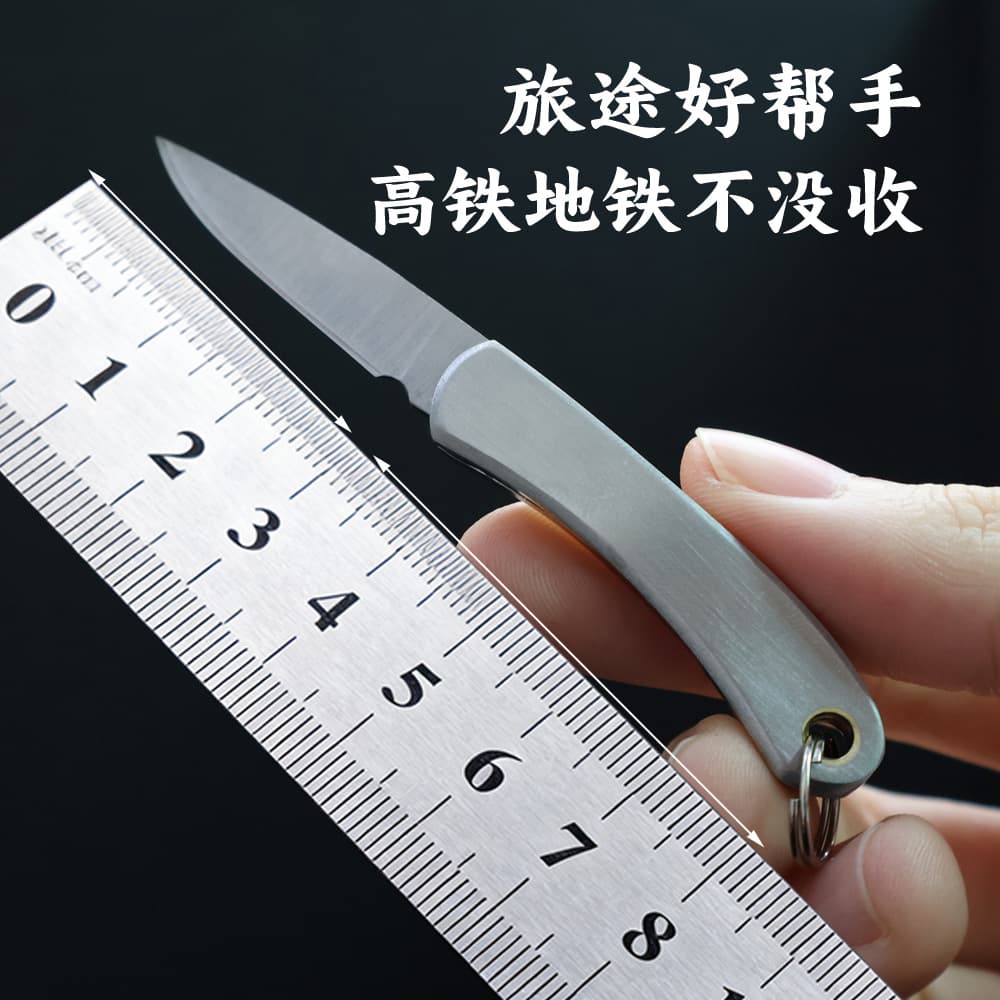 Outdoor Stainless Steel Mini Fruit Knife, Portable Pocket Knife, Folding Knife for Dormitory Box Opening and Self-Defense