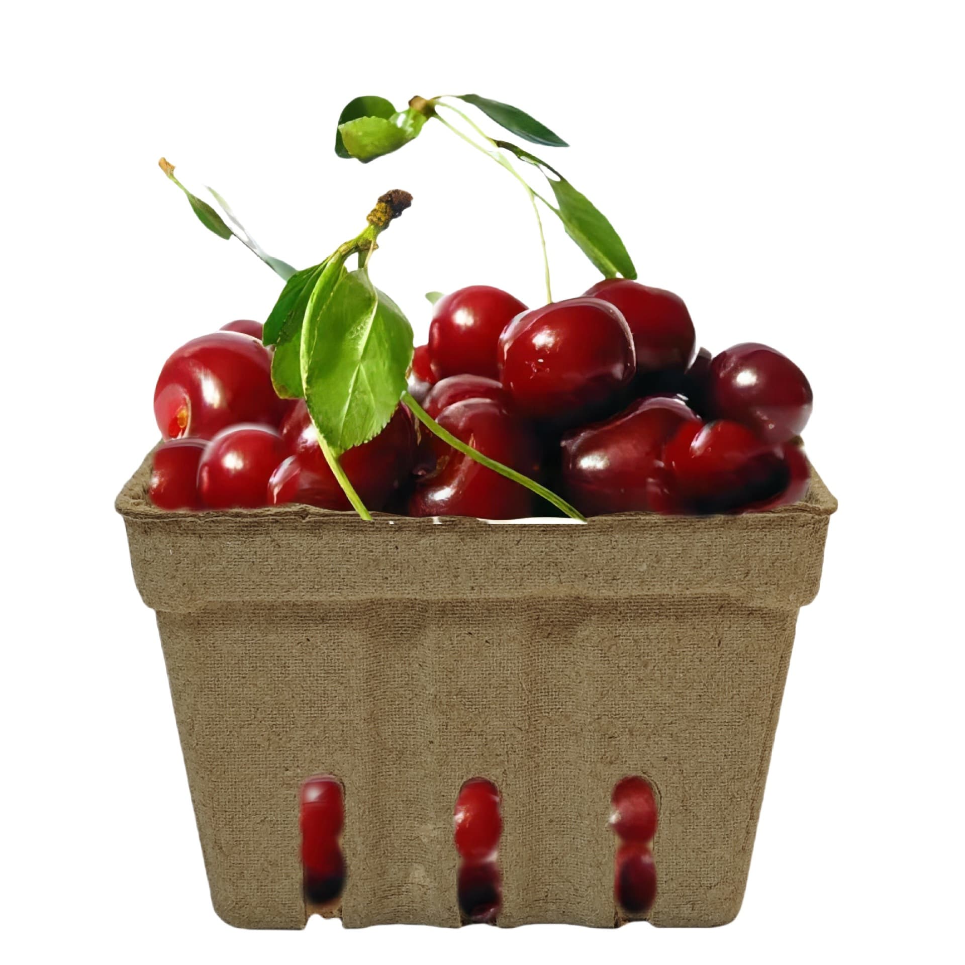 Pulp molding fresh fruit trays and boxes for blueberries, cherries, and other biodegradable packaging materials