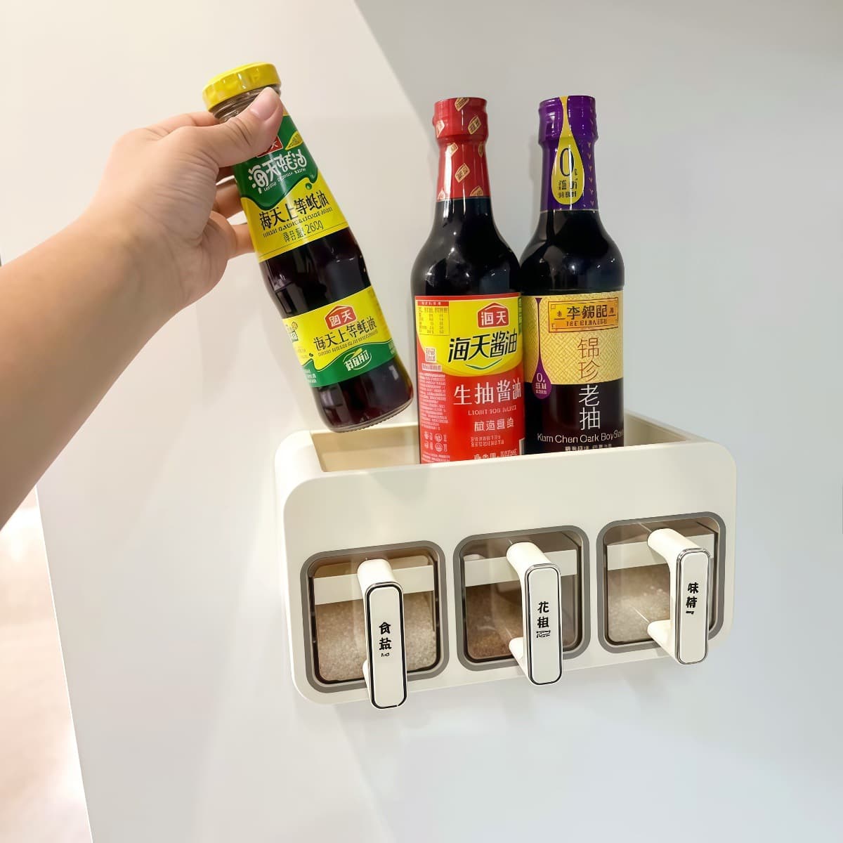 Kitchen Essential: Wall-Mounted Spice Rack, Salt, MSG, Seasoning Organizer, Home Condiment Jar