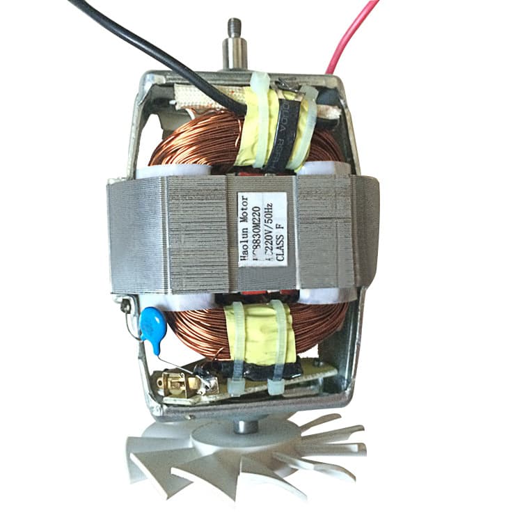 Series motor 8830 juicer ice cream machine mixer meat grinder small vacuum cleaner micro motor manufacturer