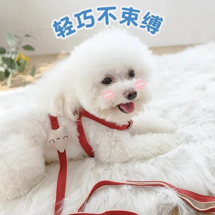 Small Dog Leash Harness Vest for Teddy Bichon Pet Chest Strap Retractable Leash