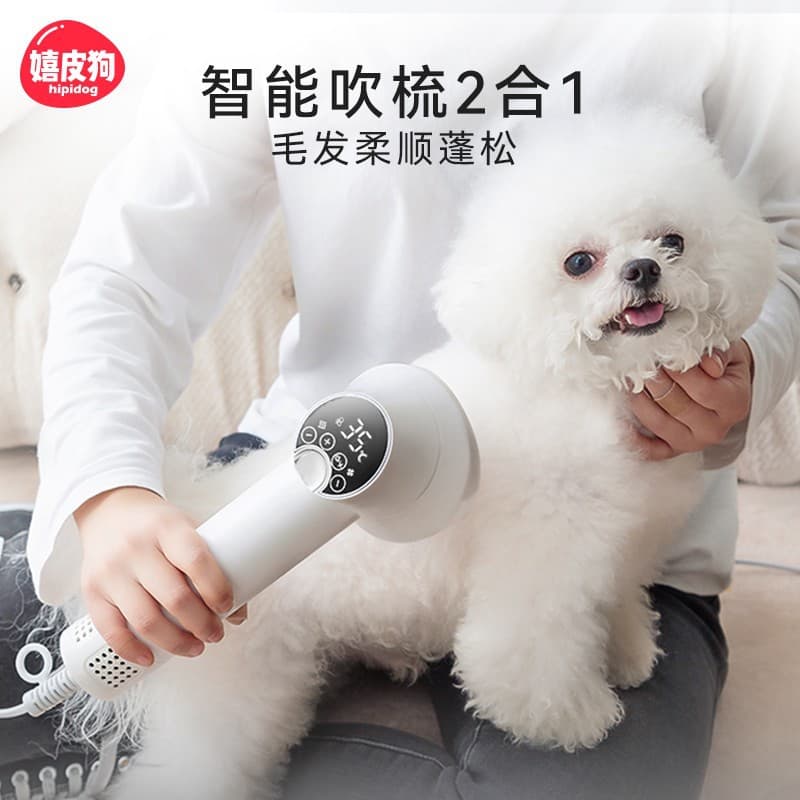 All-in-one Pet Hair Dryer and Grooming Tool for Quick Drying, Specifically for Small Breeds like Poodles During Bath