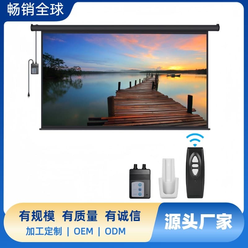 Custom Projection Screen / Projector Screen / 84" 100" 120" Electric Screen