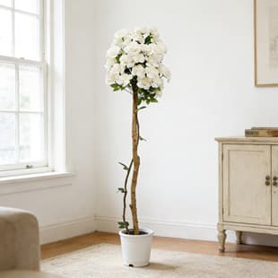 Artificial Rose Tree Real Wood Stem White Rose Greenery Potted Plant Nordic Style Indoor Home Decoration Floor Ornament