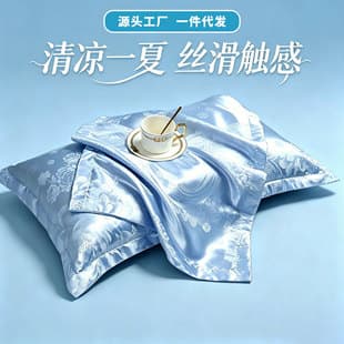 European Jacquard Satin Ice Silk Pillowcase, Single/Set of Two, 48x74cm, Cool and Silky Touch