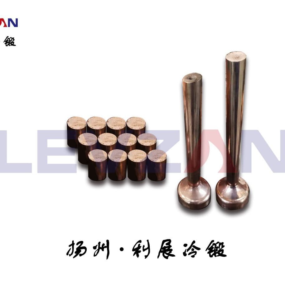 Copper Cold Forgings, Wire Lugs, Terminal Connectors, Motor Housings