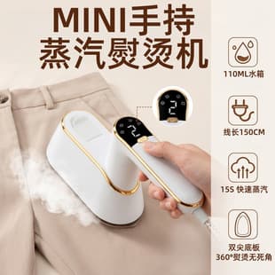 Mini Steam Iron for Home Use, Portable Handheld Garment Iron, Electric Travel Iron