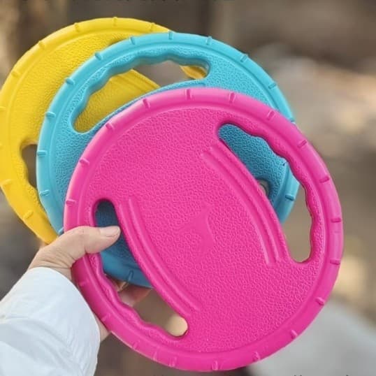 Dog Frisbee Durable Chew Training Disc for Border Collie Pet Outdoor Toy