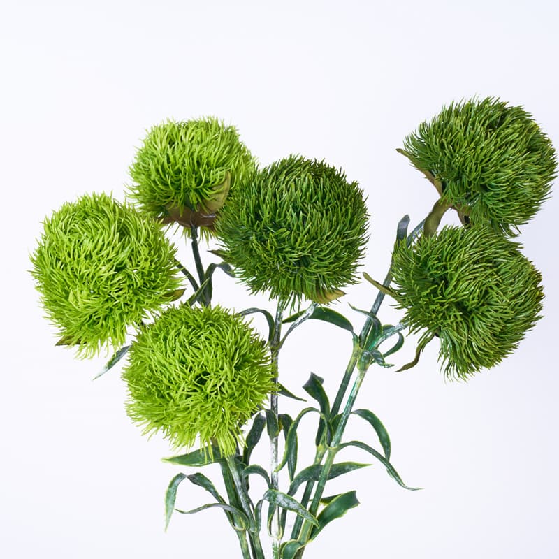 Artificial Green Dianthus Flower, Faux Green Pom Pom for Home Decoration, Floral Arrangement, Wedding, Hotel Scene