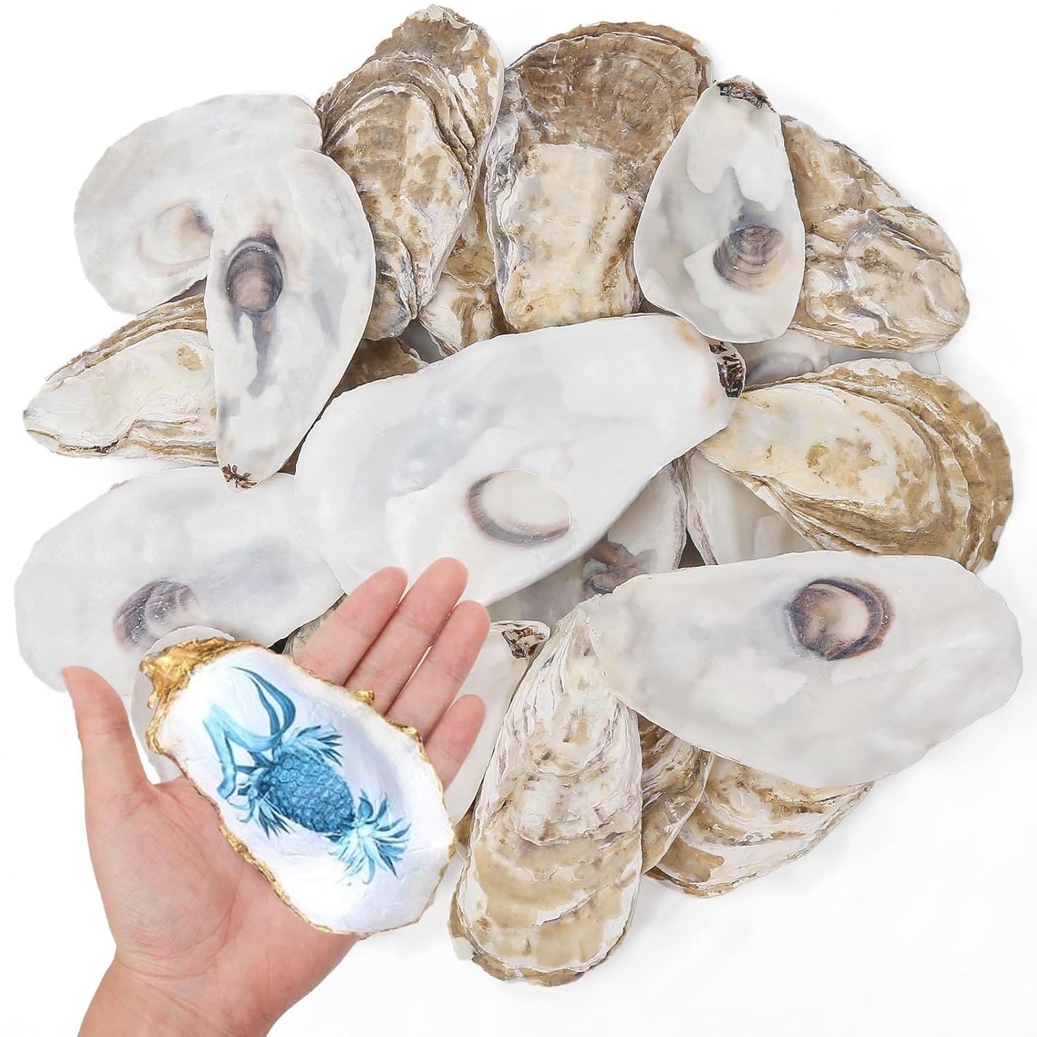 Graffiti Oyster Shell Craft Christmas Decoration DIY Handicraft Sea Shell Flat Concave Oyster Shell