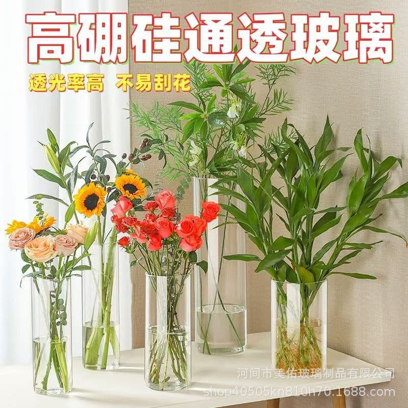 Transparent vase high borosilicate anti-fall high-value straight vase creative plastic vase ornaments living room flower arrangement water maintenance