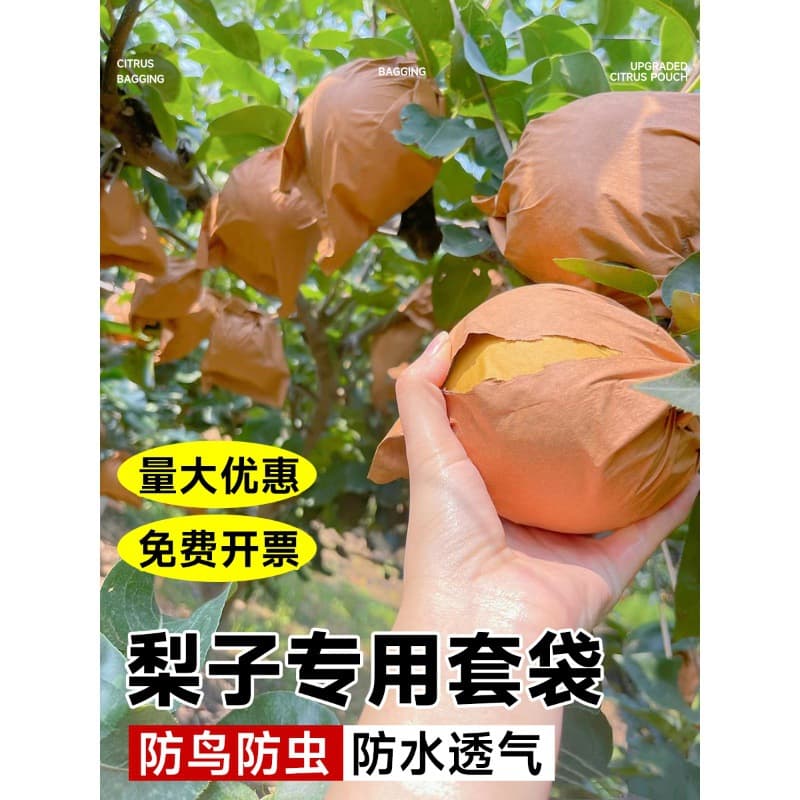 Pear bagging kit, Qiuyue pear fruit bagging kit, special paper bags for strawberries, grapes, and peaches, insect and bird prevention device.