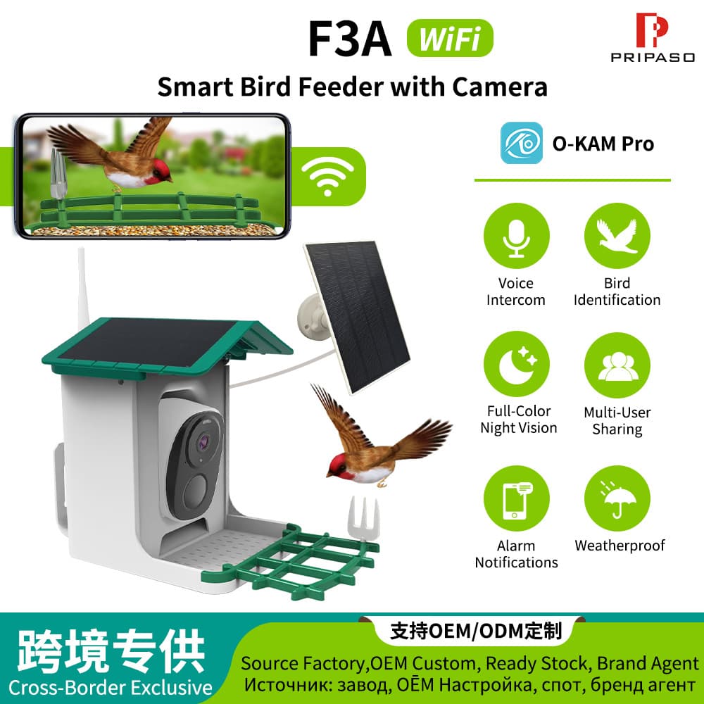 Cross-border AI Smart Bird Recognition Outdoor Waterproof HD Camera Factory Direct Supply Surveillance