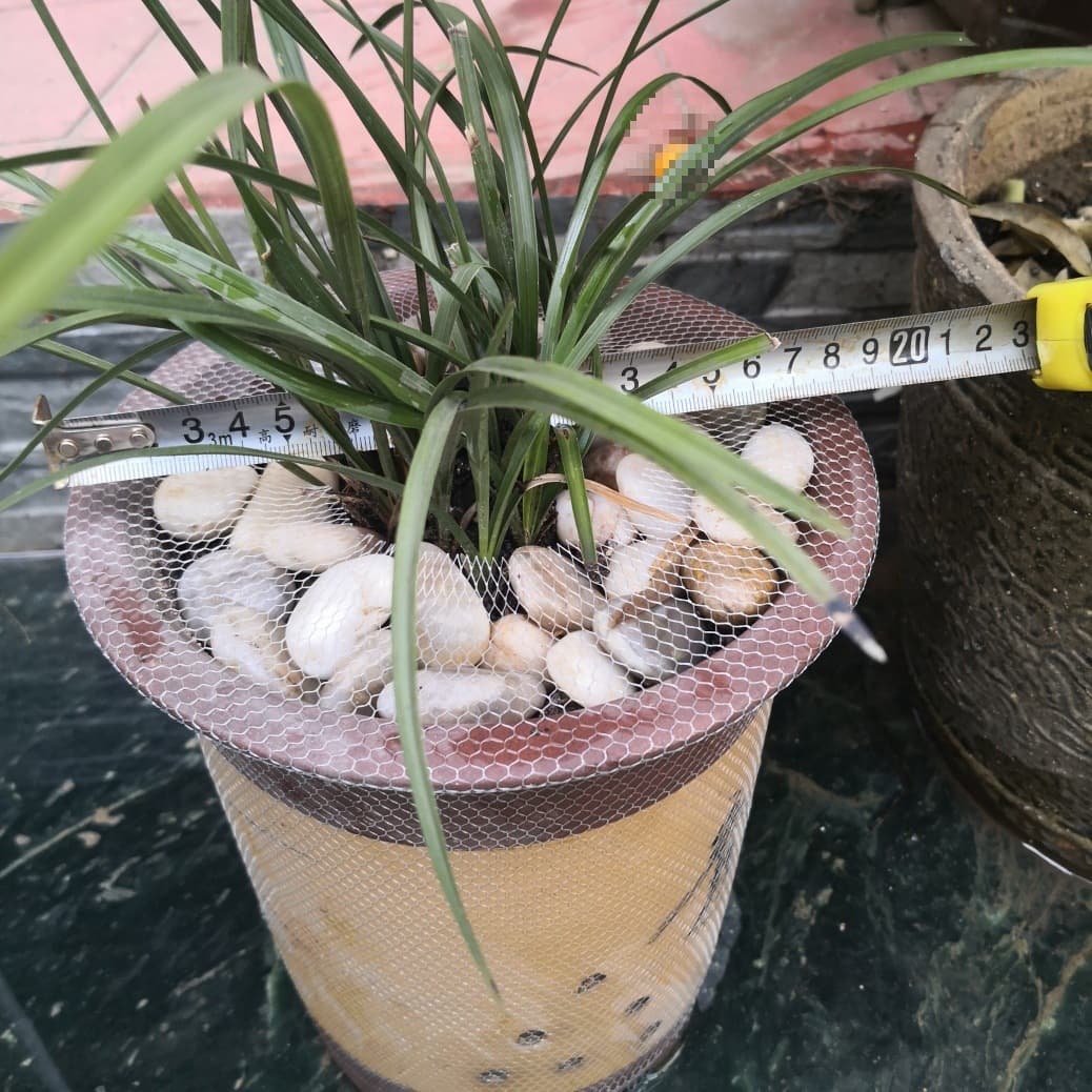 Orchid Pot Protective Net Orchid Planting Material Stone Spill-Proof Leak-Proof Net Leak-Proof Net Sleeve Wuhan Factory Direct