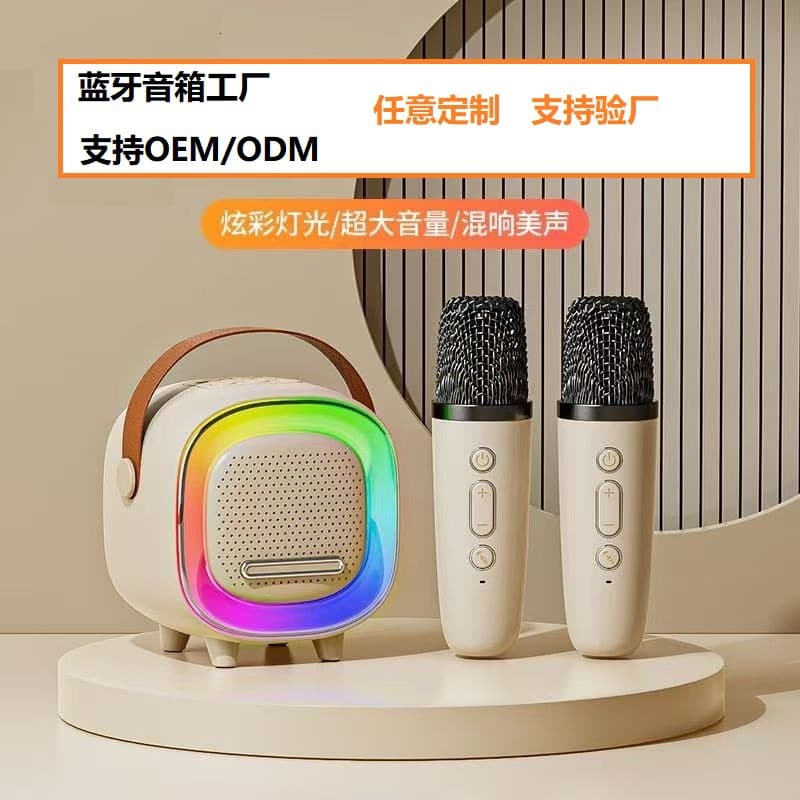 Hongshang Karaoke Home Bluetooth Speaker with Microphone, Wireless All-in-One Family KTV for Children