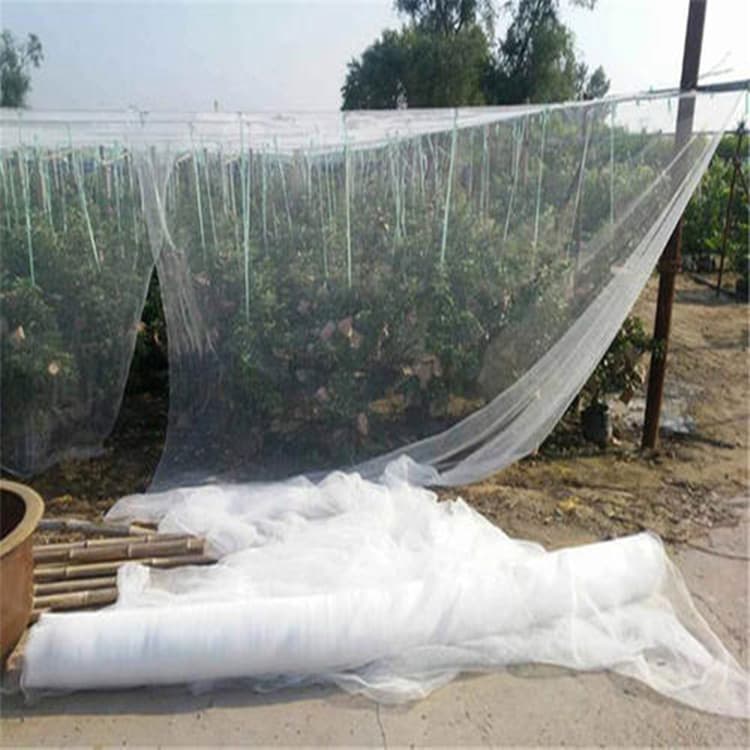 Yihaomei Brand Cross-border Supply Double-line Polyethylene Woven Diamond Hail Net Orchard Hail Net