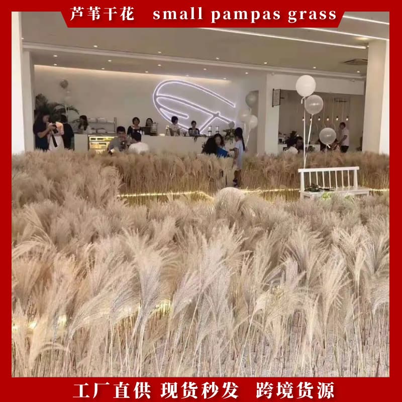 Natural Reed Dried Flower Wholesale, Dusting Reed Bouquet Home Decoration, Pampas Grass Dried Flowers, Pink Reed Flowers