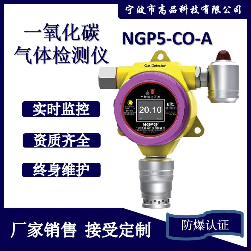 Industrial Grade Fixed Online Monitoring CO Alarm with Smart Features from Manufacturer