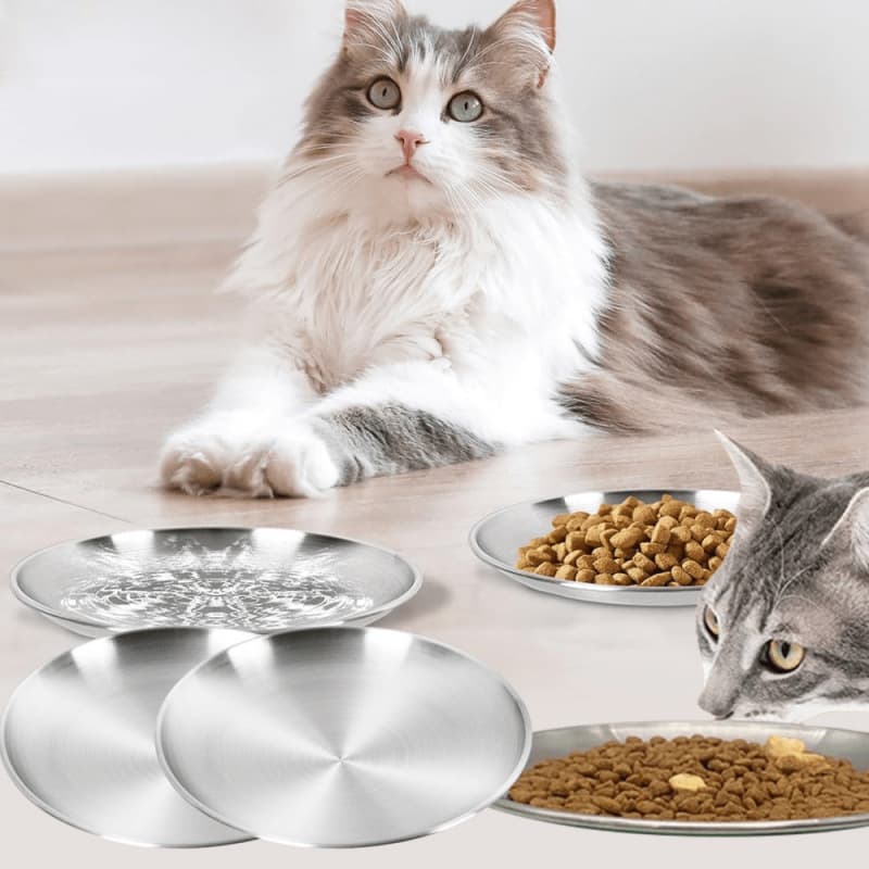 2026 New Cross-border Drop Shipping 2 Stainless Steel Pet Feeding Bowls Durable and Reusable