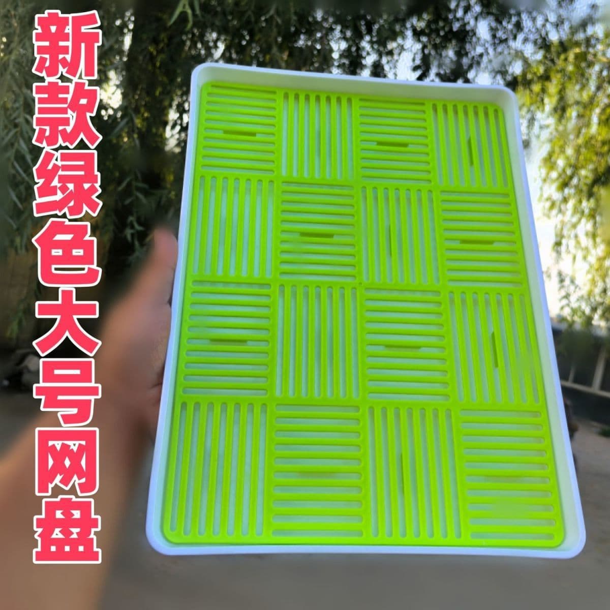 New Premium Green Sugar-Coated Hawthorn Stick Display Tray Plastic Small and Large Size Food-Grade Small Skewer Draining Tray