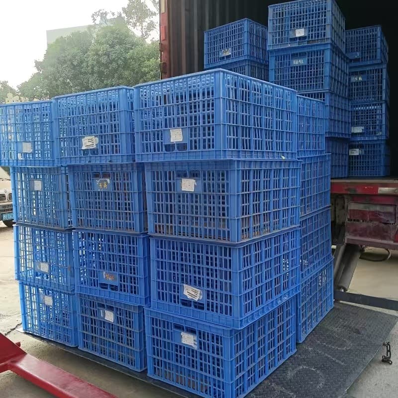 Used plastic crates from Dongguan, Guangdong; Dalingshan plastic boxes; large quantity recycling of waste plastic crates and pallets