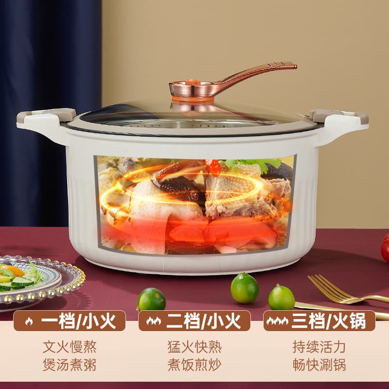 Low-Pressure Multi-Function All-in-One Pot, Large Capacity Non-Stick Electric Hot Pot, Electric Steaming and Boiling Pot, Small Electric Cooker, Gift