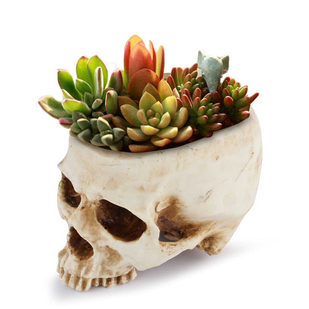 Home Decoration Resin Succulent Planter Movie Prop Flower Pot Cross-border Supply Nordic Ornament