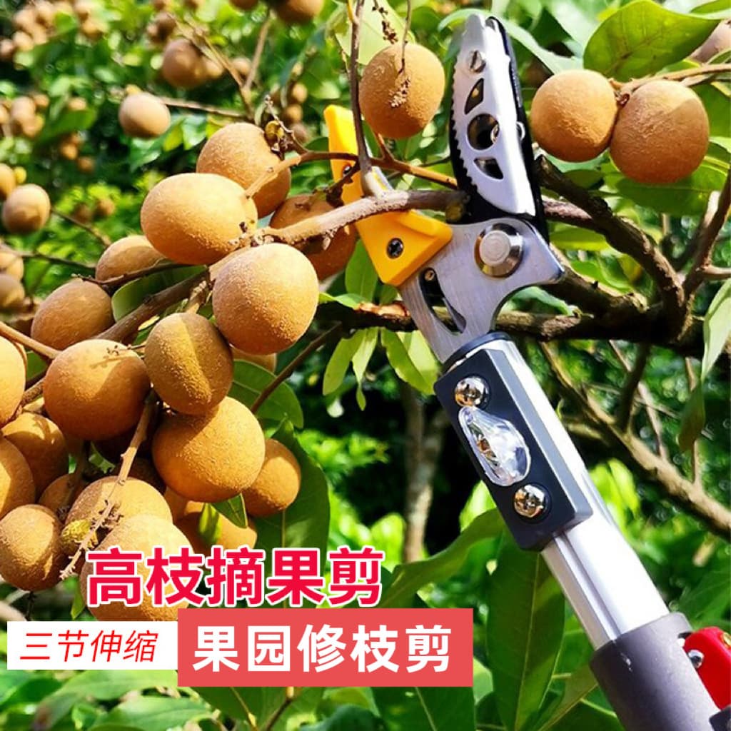 Three-section Telescopic High Branch Pruning Shears High-altitude Fruit Picker Gardening Tools For Fruit Orchards Gardens