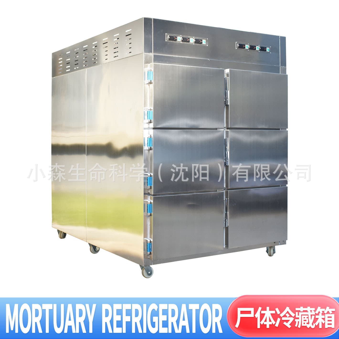 Factory Stainless Steel Six-Door Mortuary Cabinet, Autopsy Station Corpse Freezing Specimen Preservation Six-Body In Stock