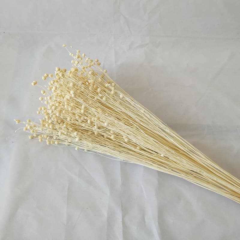 Ins-style Home Decor Soft Furnishing Wedding Arrangement Dried Flowers Preserved Flowers Bouquet Baby's Breath Decoration Wedding Decoration