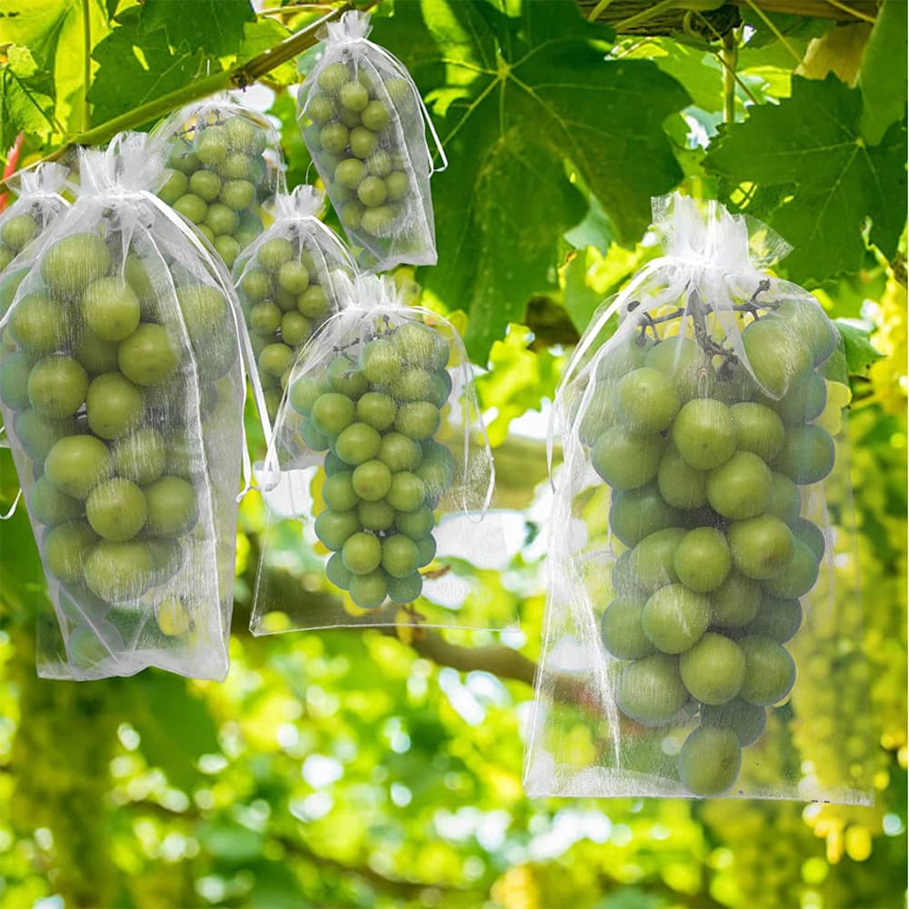 Fruit Insect Netting, Drawstring Fruit Bags, Seed Nylon Mesh Bags, Grape Anti-Fruit Fly and Bird Net Bag