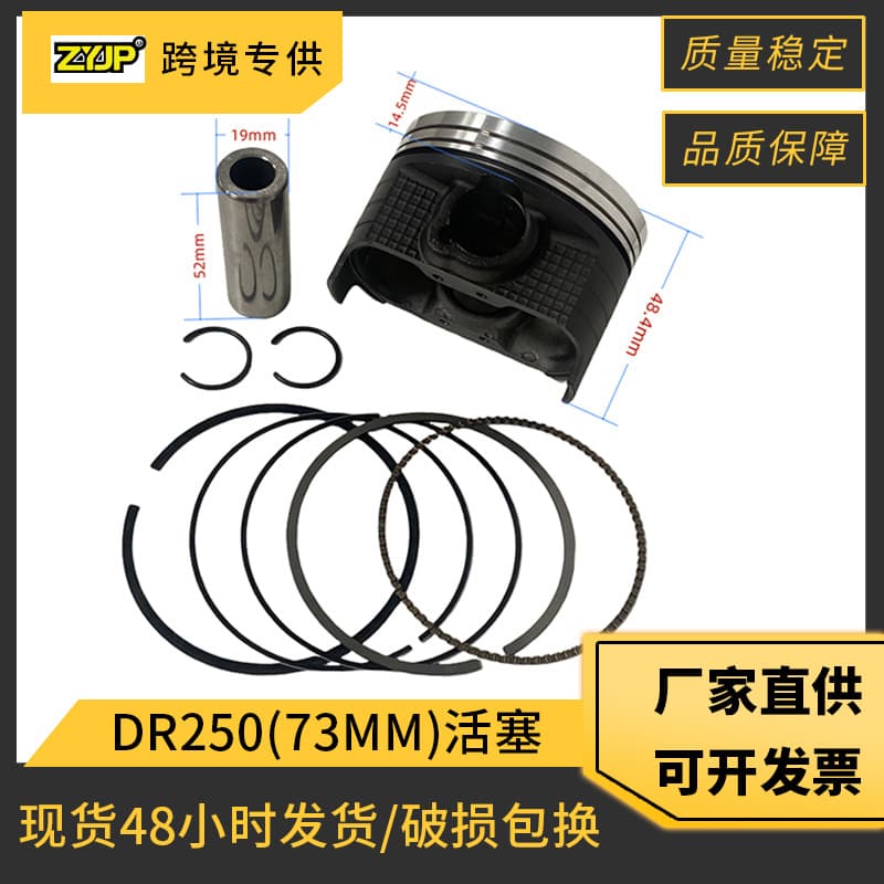 Motorcycle Engine Piston for Suzuki Burgman AN250 Skywave DR250 250CC