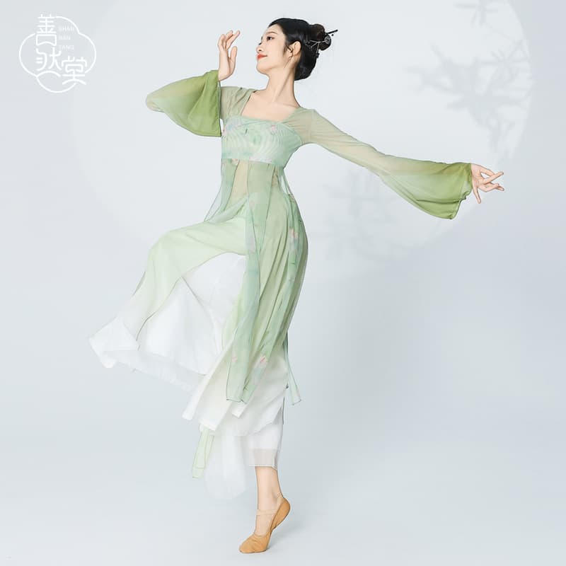 Shanrantang Classical Dance Costume Women Flowy Practice Wear Chinese Dance Ruqun Gauze Top Performance Outfit Hanfu Spring