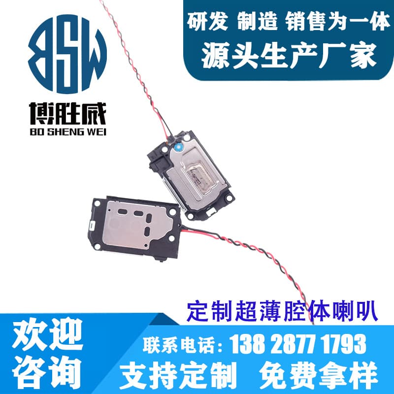 Factory Customized Side Sound Chamber Speaker 8 Ohm 1W Voice Prompt Speaker for Massage Device