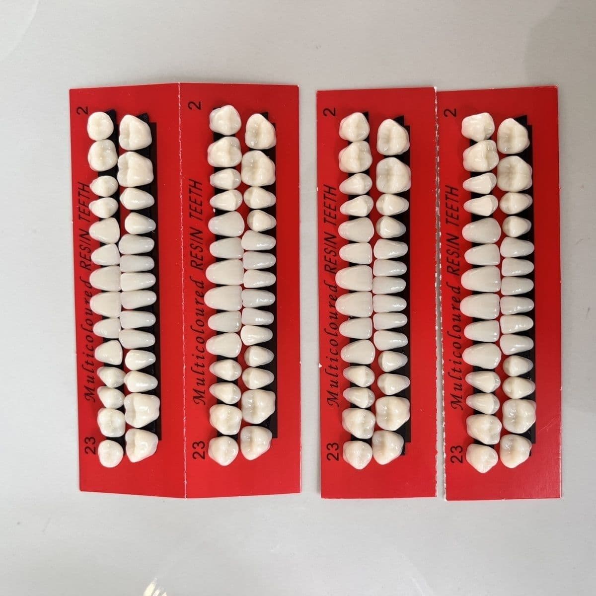 Dental Students Practice with a Full Set of 28 Teeth, Dental Oral Materials for Practicing Teeth