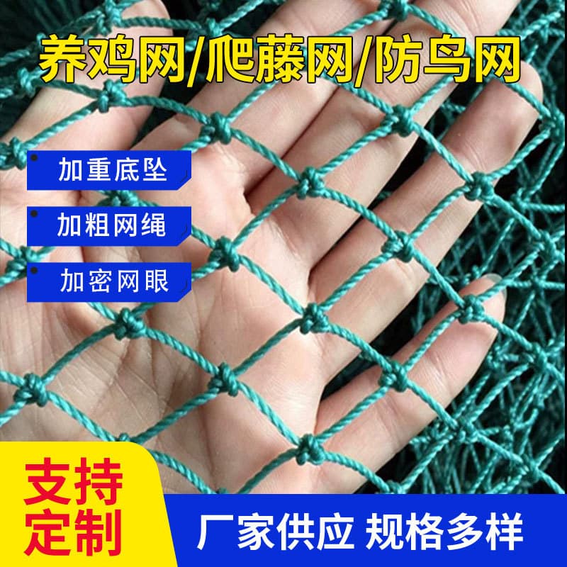 Chicken net, nylon net, orchard anti-bird net, poultry breeding net, climbing vine net, chicken top net, chicken vegetable garden court net