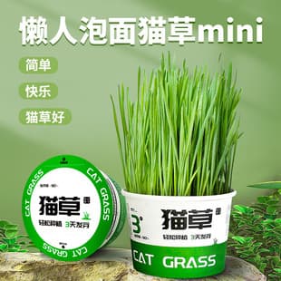 Lazy Instant Noodle Cup Cat Grass Dog Grass Wheat Grass for Cats to Expel Hairballs, Soilless Hydroponic Filtration, Hairball Removal