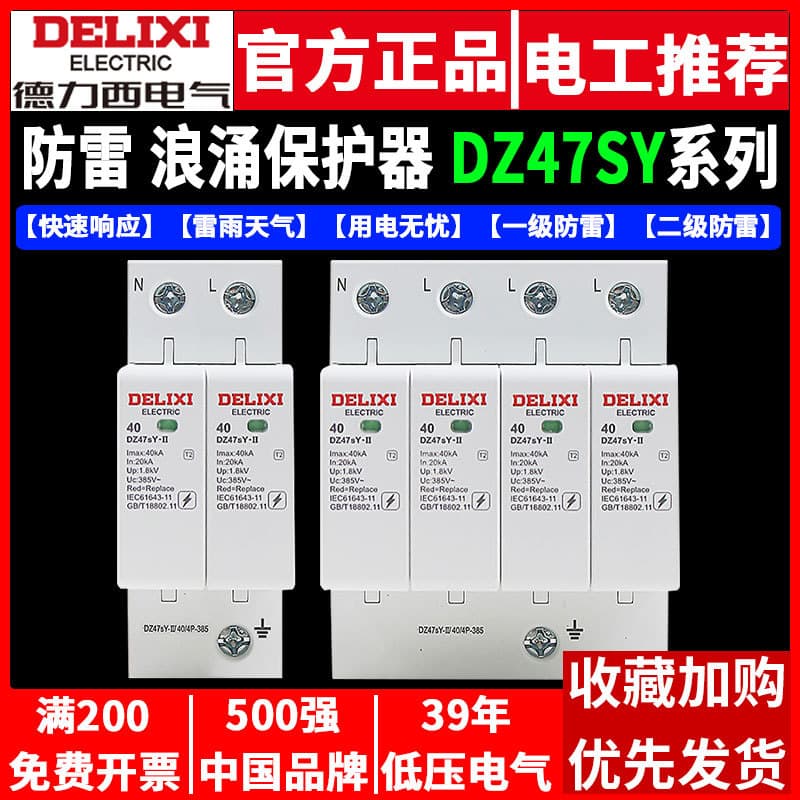 Delixi Surge Protector DZ47Y-10KV, Home 220V Lightning Arrester 380V Surge 4P Lightning Protection Switch 2P