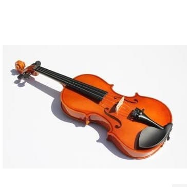 Beginner Adult Child Violin Practice Violin Solid Wood Violin 1/8-4/4 Size Full Set