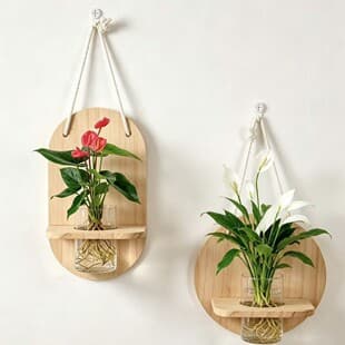 Wall-Mounted Hydroponic Green Plant Set with Log Wooden Wall Rack, Living Room Bedroom Desktop Fresh Decoration Easy-Care Plant