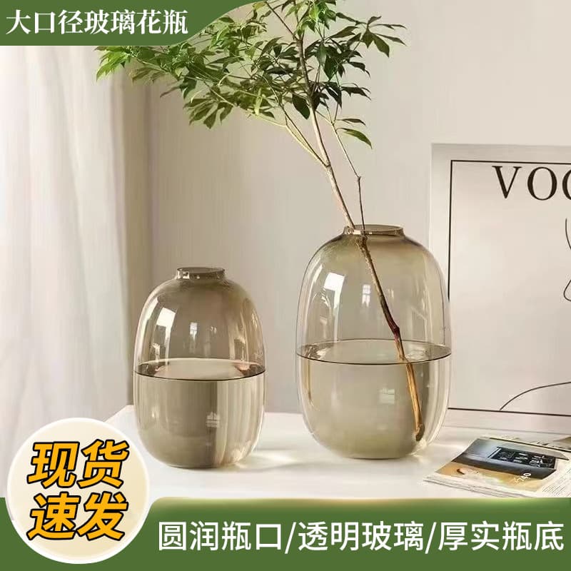 Glass Vase Decor Living Room Flower Arrangement Transparent Hydroponic Light Luxury Premium Hydroponic Fresh Flowers Large Opening Green Plant Bedroom