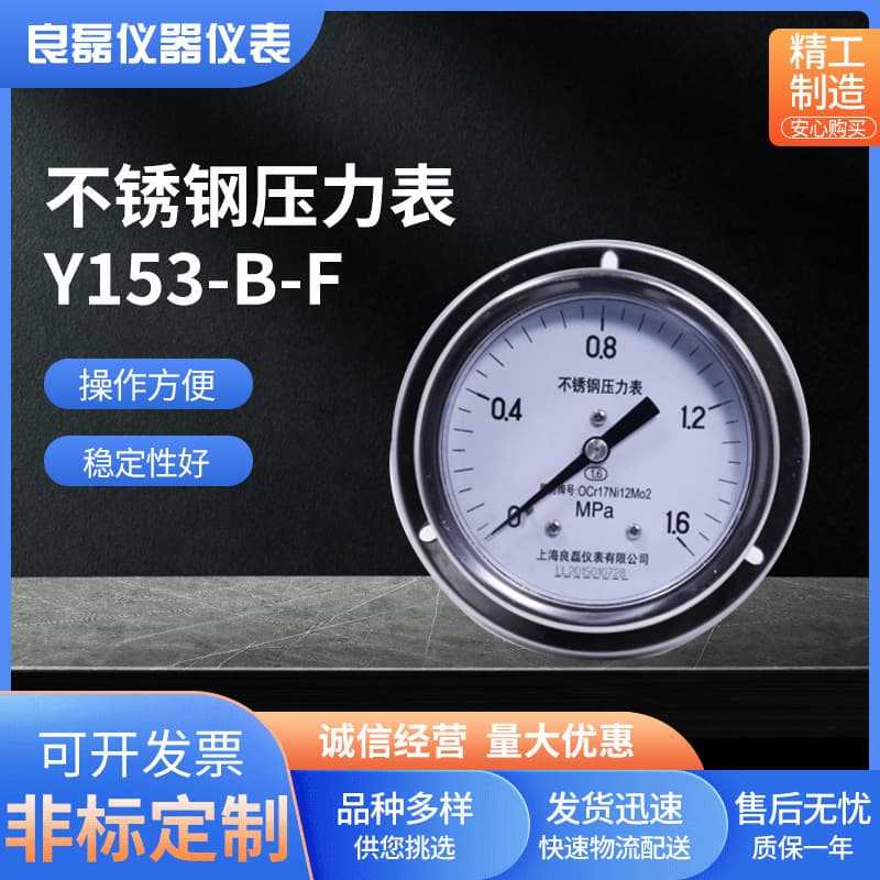 Y153BF Axial Flanged Stainless Steel 304 Gauge for Ammonia, Oxygen, Vacuum Gauge, Pressure Gauge, Stainless Steel Vacuum Gauge