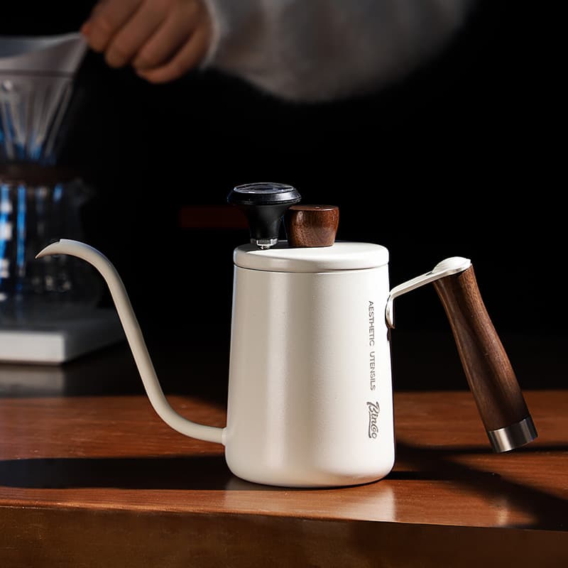 Bincoo Portable Mini Hand Drip Coffee Pot, Long Spout Fine Mouth Stainless Steel Pour-Over Kettle for Drip Coffee