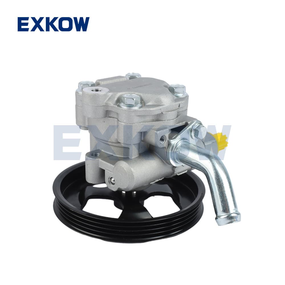 Power Steering Pump for Mitsubishi Pickup L200 MR995024