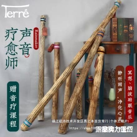 Cactus Rain Stick - Sound Therapy Instrument for Imitation Rain and Waves, Suitable for Yoga and Meditation, Niche Rain Sound Tube Instrument