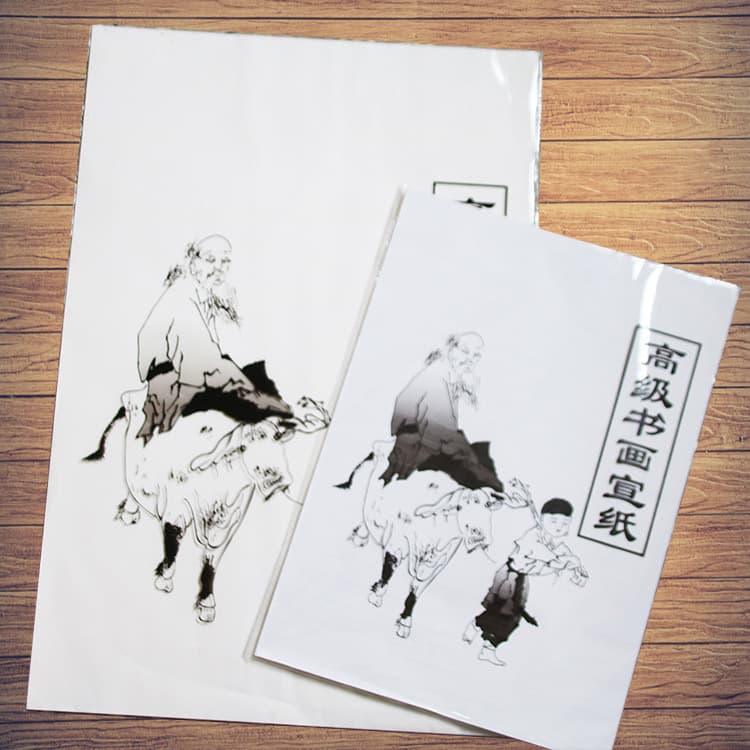 Wholesale Calligraphy and Painting Xuan Paper, Raw/Ripe Xuan Practice Sheets in 4K and 8K Sizes