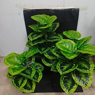 New Cross-Border Product Artificial Green Plant Peacock Aglaonema Nordic Style Floor Bonsai Home Living Room Decoration Wedding Artificial Flowers
