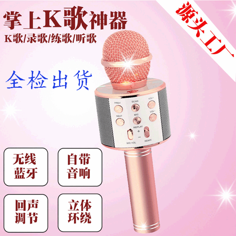 WS858 Wireless Bluetooth Microphone for Mobile Karaoke, Condenser Mic with USB Sound Card for PC